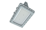 Explosion Proof Light D Series - 图片 2