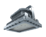 Explosion Proof Light D Series