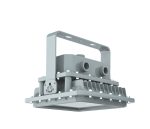 Explosion Proof Light D Series - 图片 2