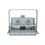 Explosion Proof Light D Series