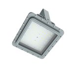 Explosion Proof Light D Series - 图片 4